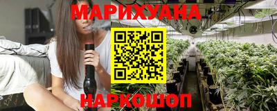 шишки Шахты