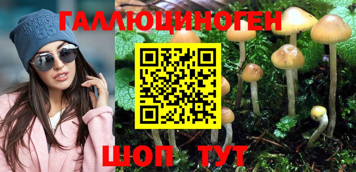 Галлюциногенные грибы мицелий Верхняя Пышма